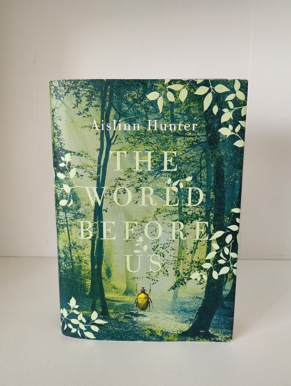 🖤3/$20 The World Before Us by Aislinn Hunter Adult Fiction Hardcover Book